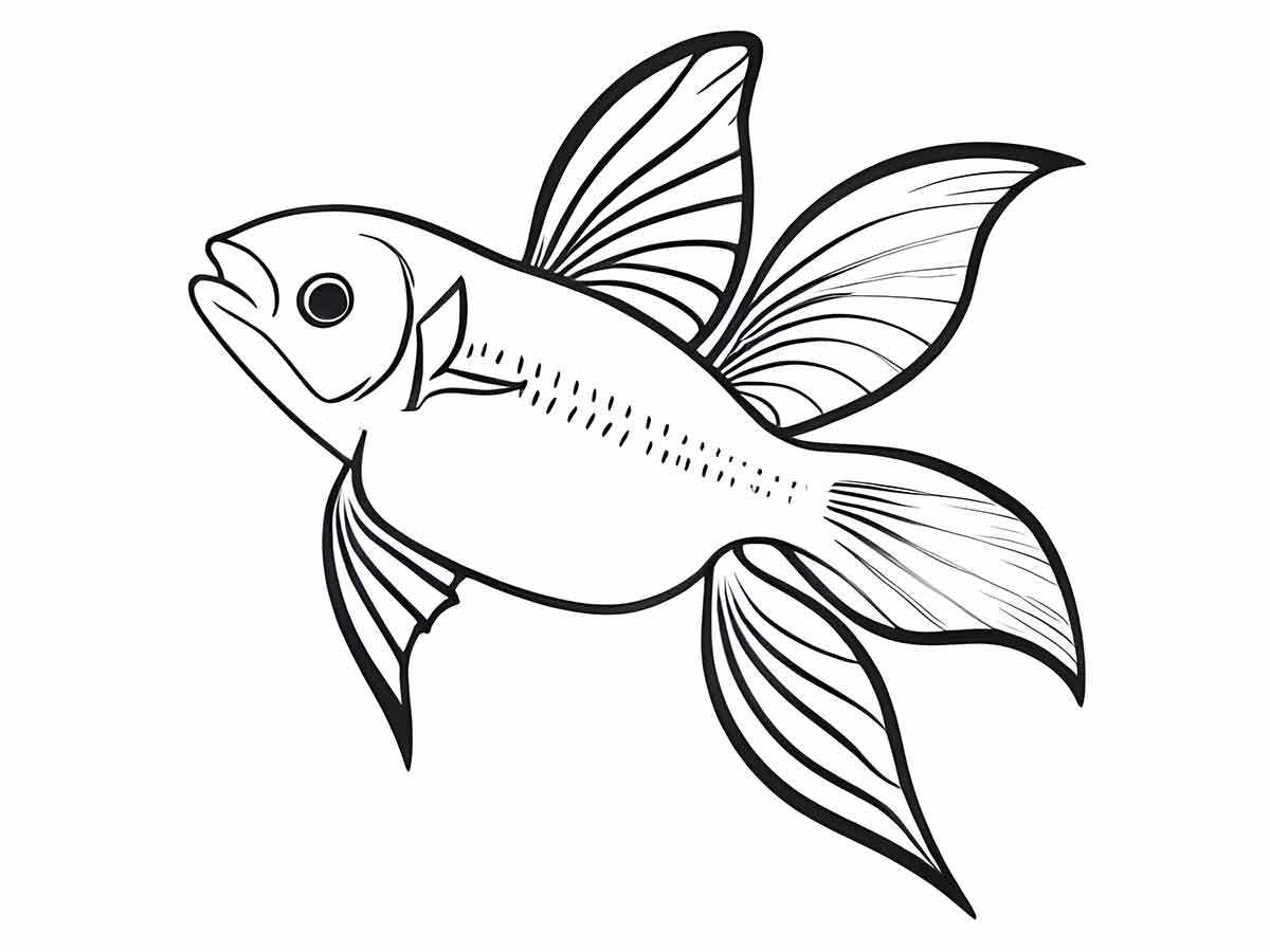 Fish coloring page (47)