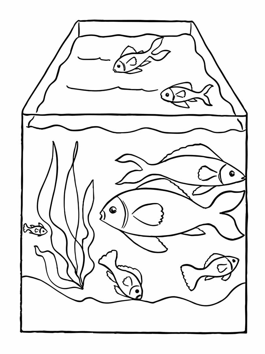 Fish coloring page (53)