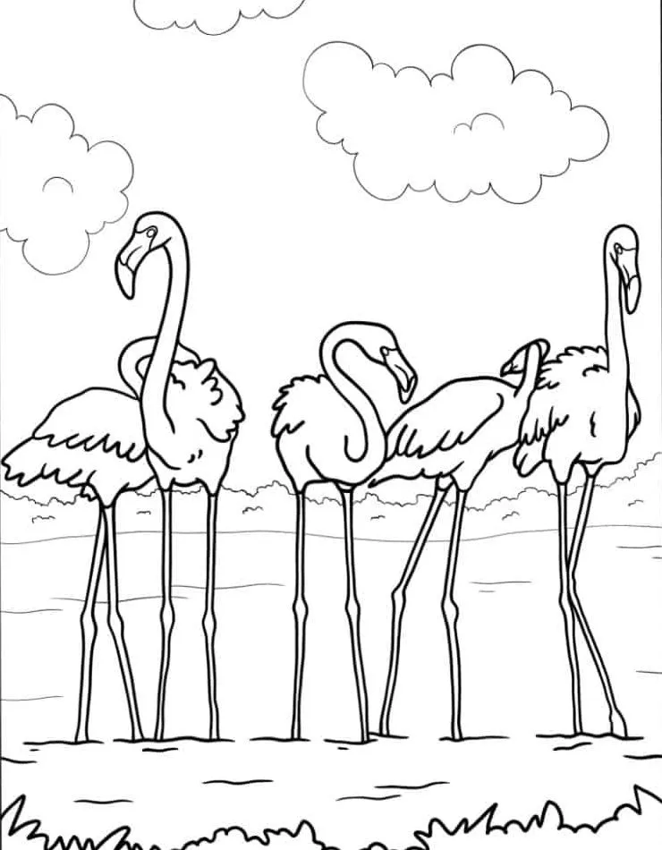 Flamingo Coloring Page (13)