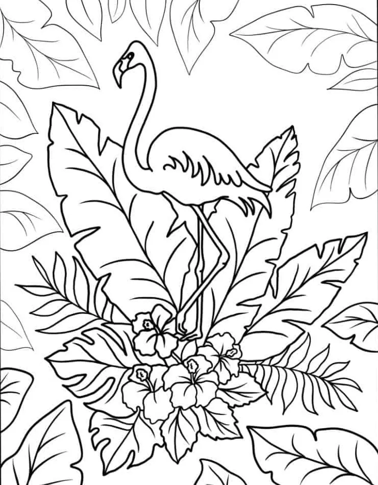 Flamingo Coloring Page (15)