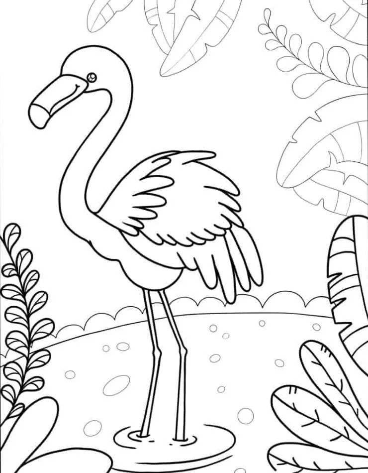 Flamingo Coloring Page (17)