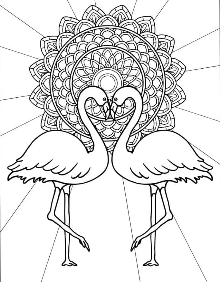 Flamingo Coloring Page (19)