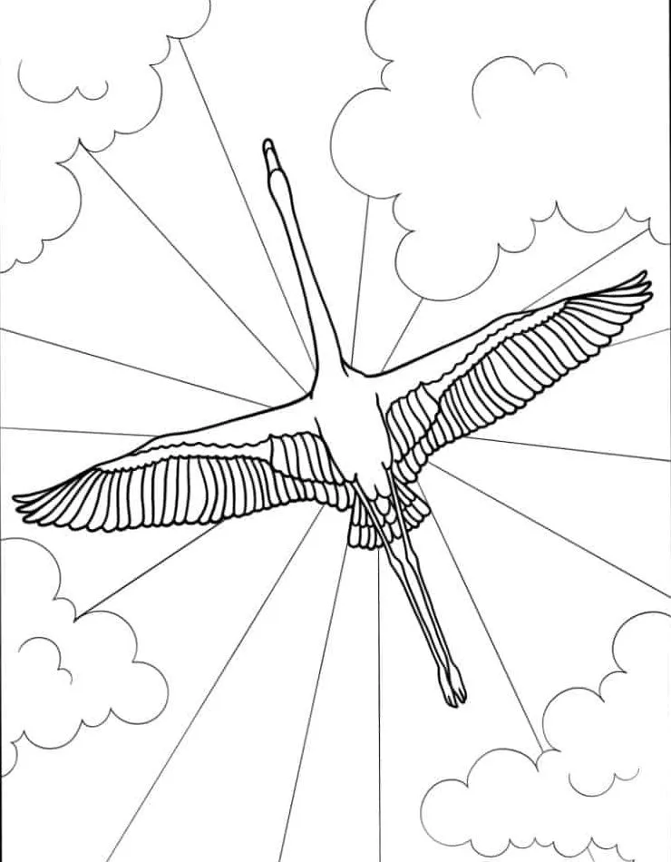 Flamingo Coloring Page (21)