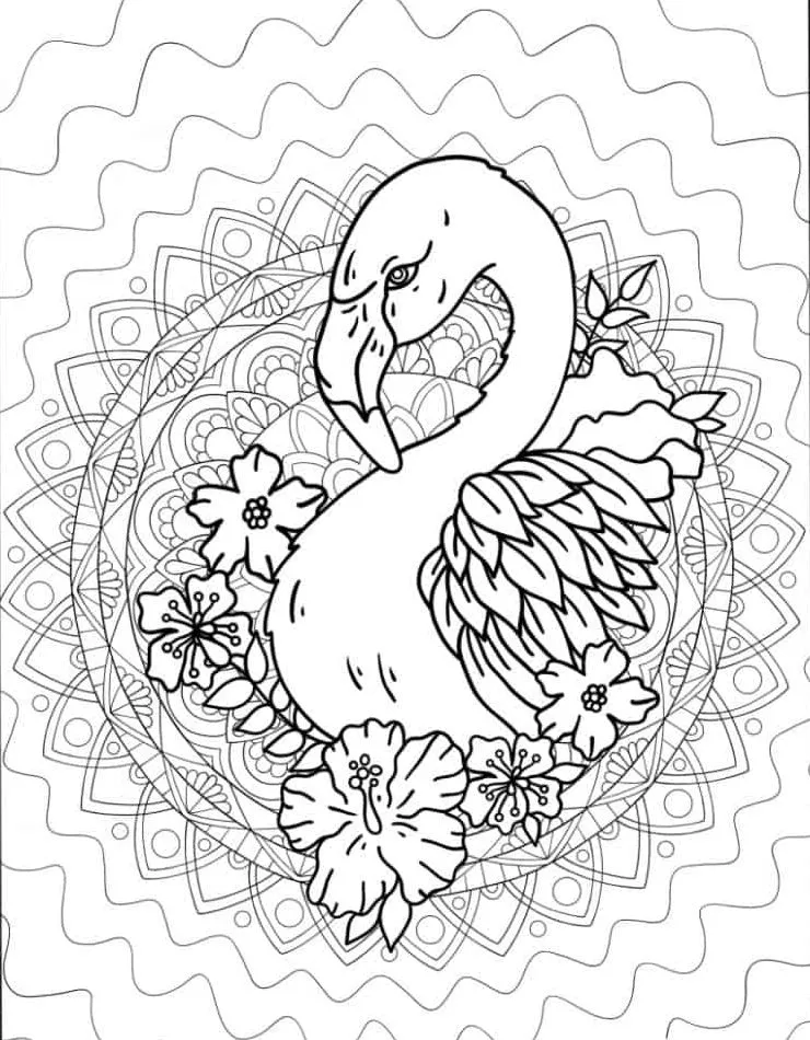 Flamingo Coloring Page (22)