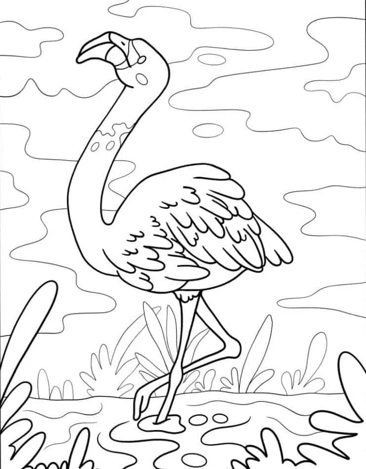 Flamingo Coloring Page (24)