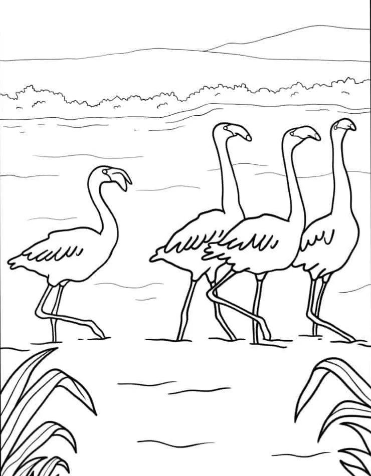 Flamingo Coloring Page (25)