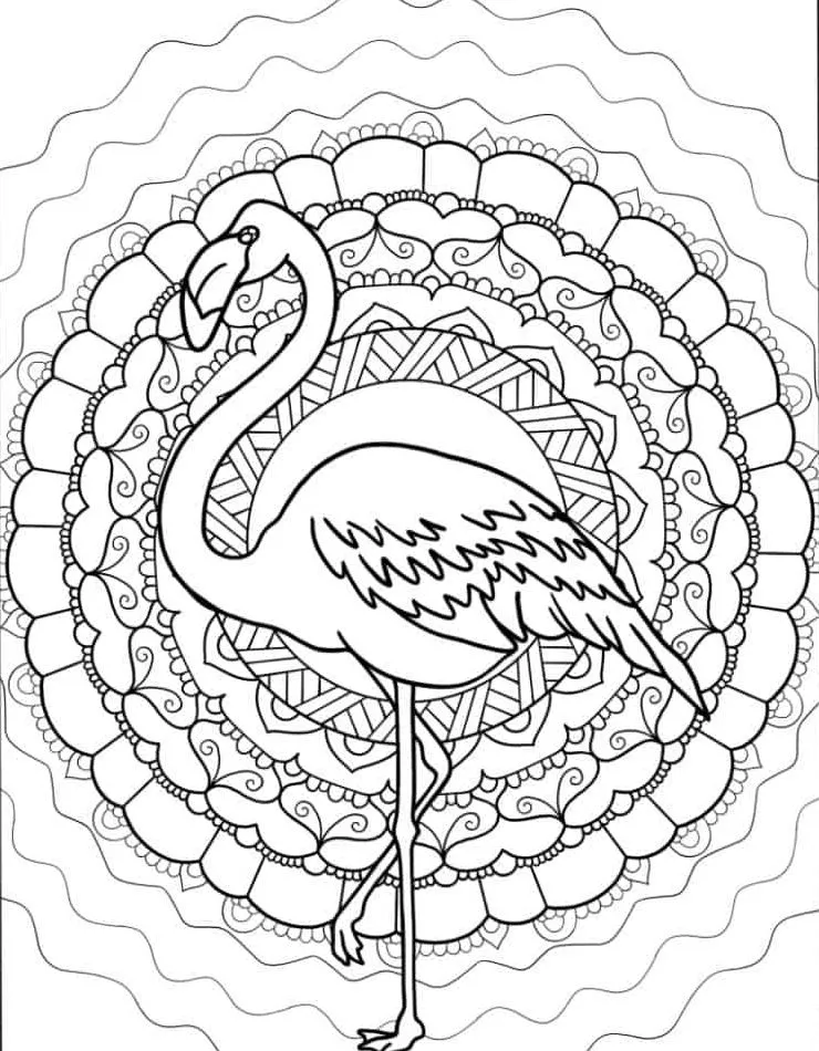 Flamingo Coloring Page (28)