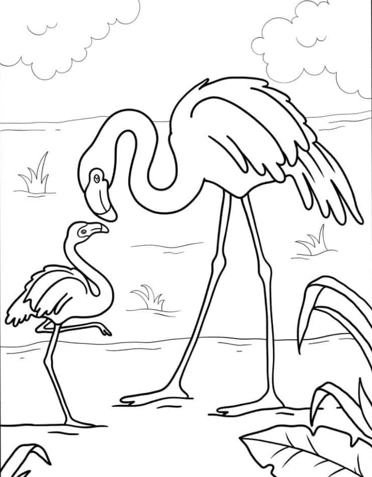 Flamingo Coloring Page (29)