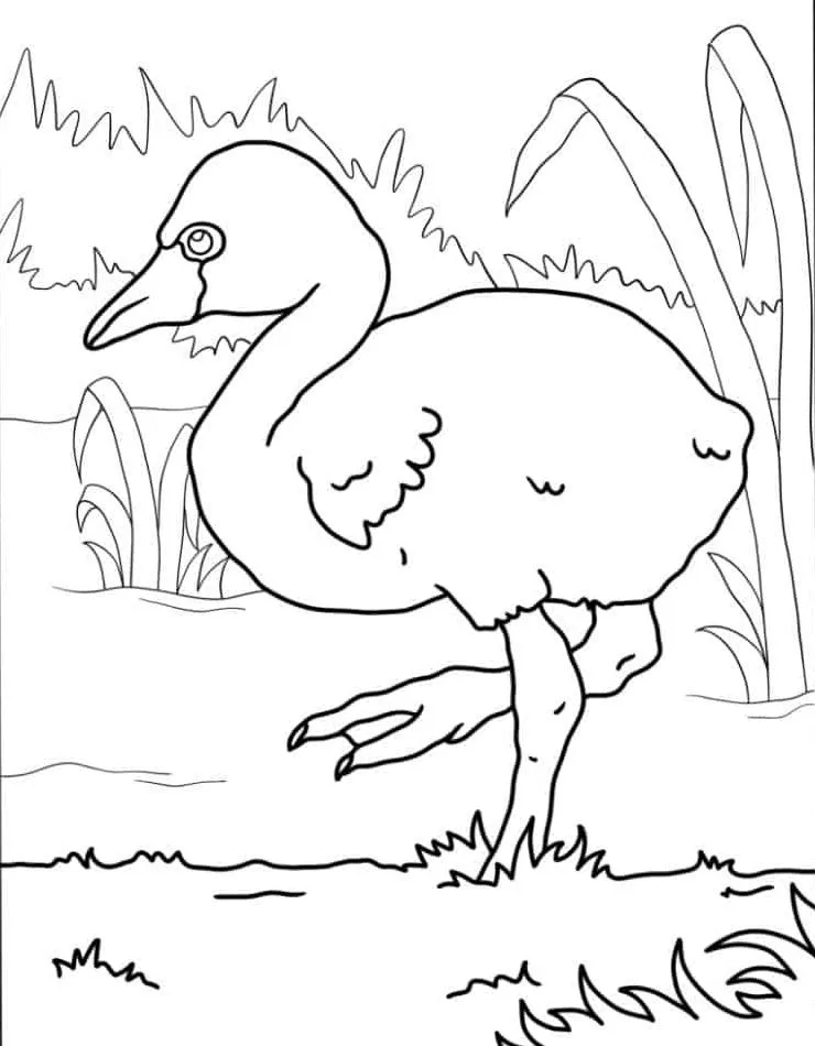 Flamingo Coloring Page (30)