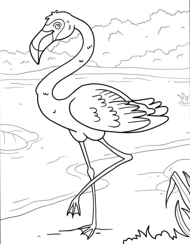 Flamingo Coloring Page (31)