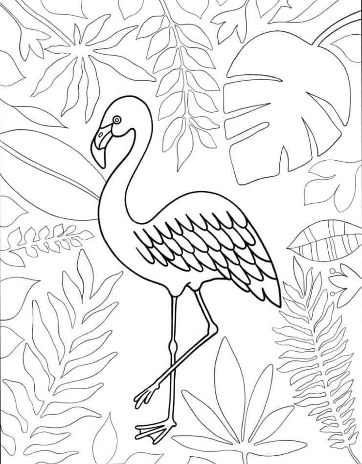 Flamingo Coloring Page (32)