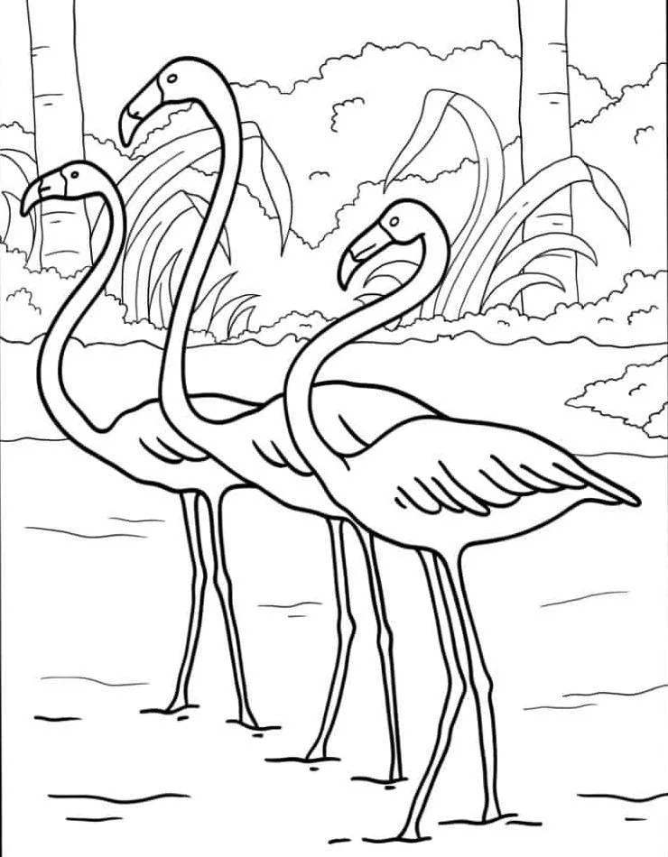 Flamingo Coloring Page (33)