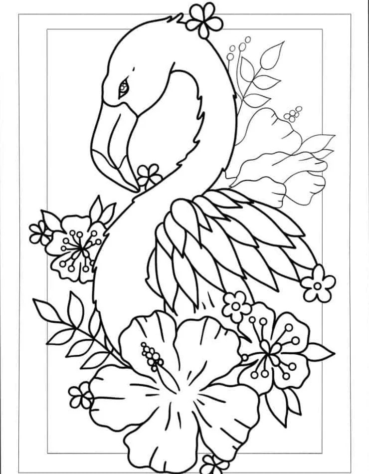 Flamingo Coloring Page (35)