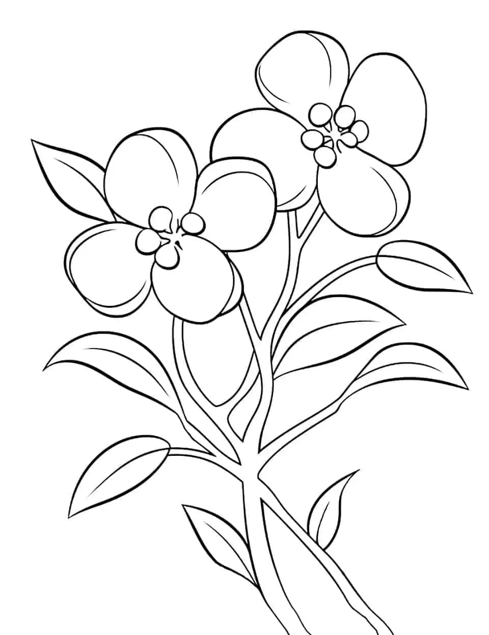 Flowers coloring page (17)