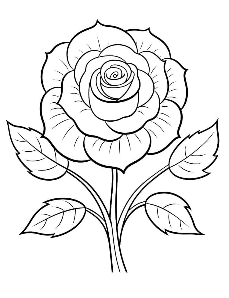 Flowers coloring page (18)