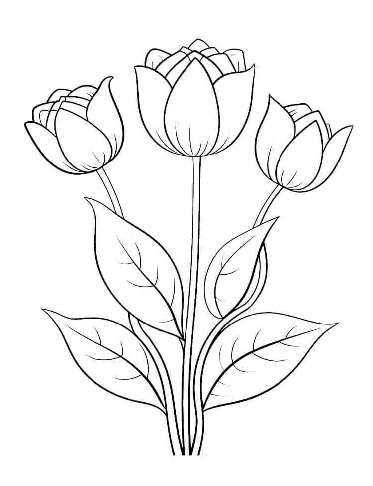 Flowers coloring page (19)