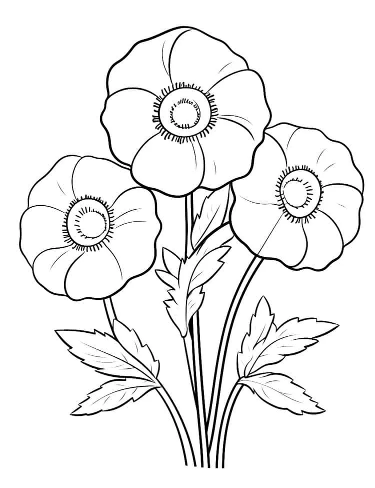 Flowers coloring page (20)