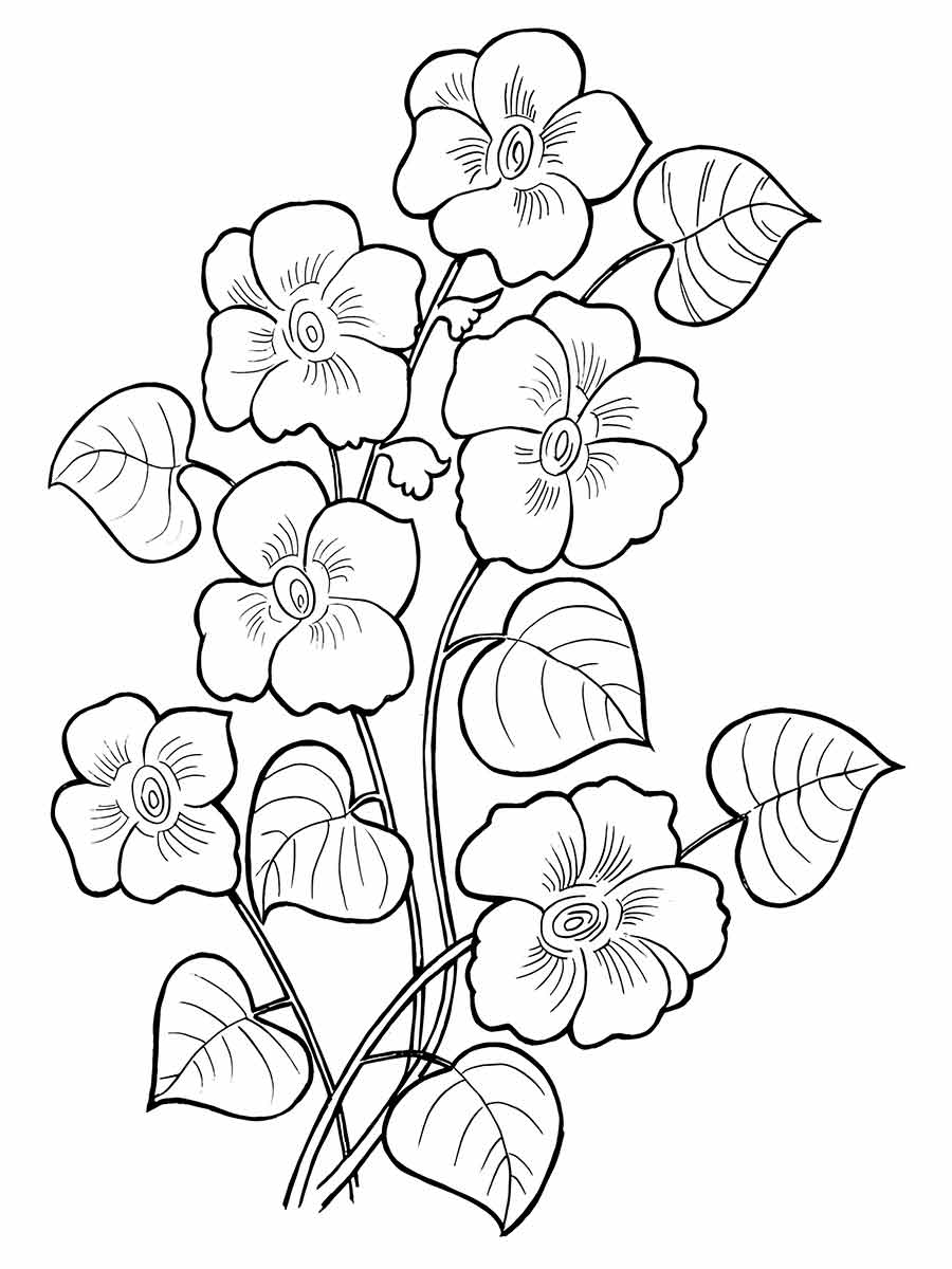 Flowers for kids coloring coloring page (21)