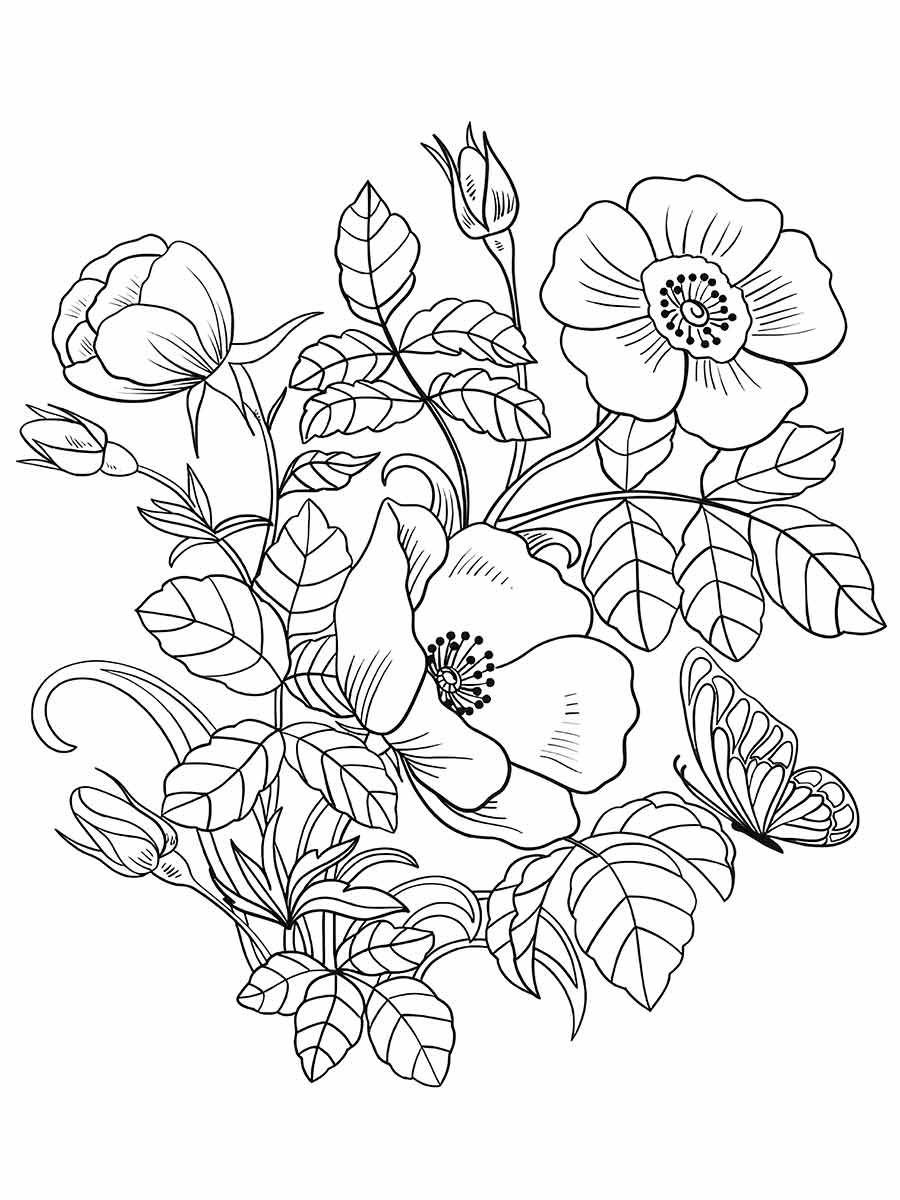 Flowers for kids coloring coloring page (23)