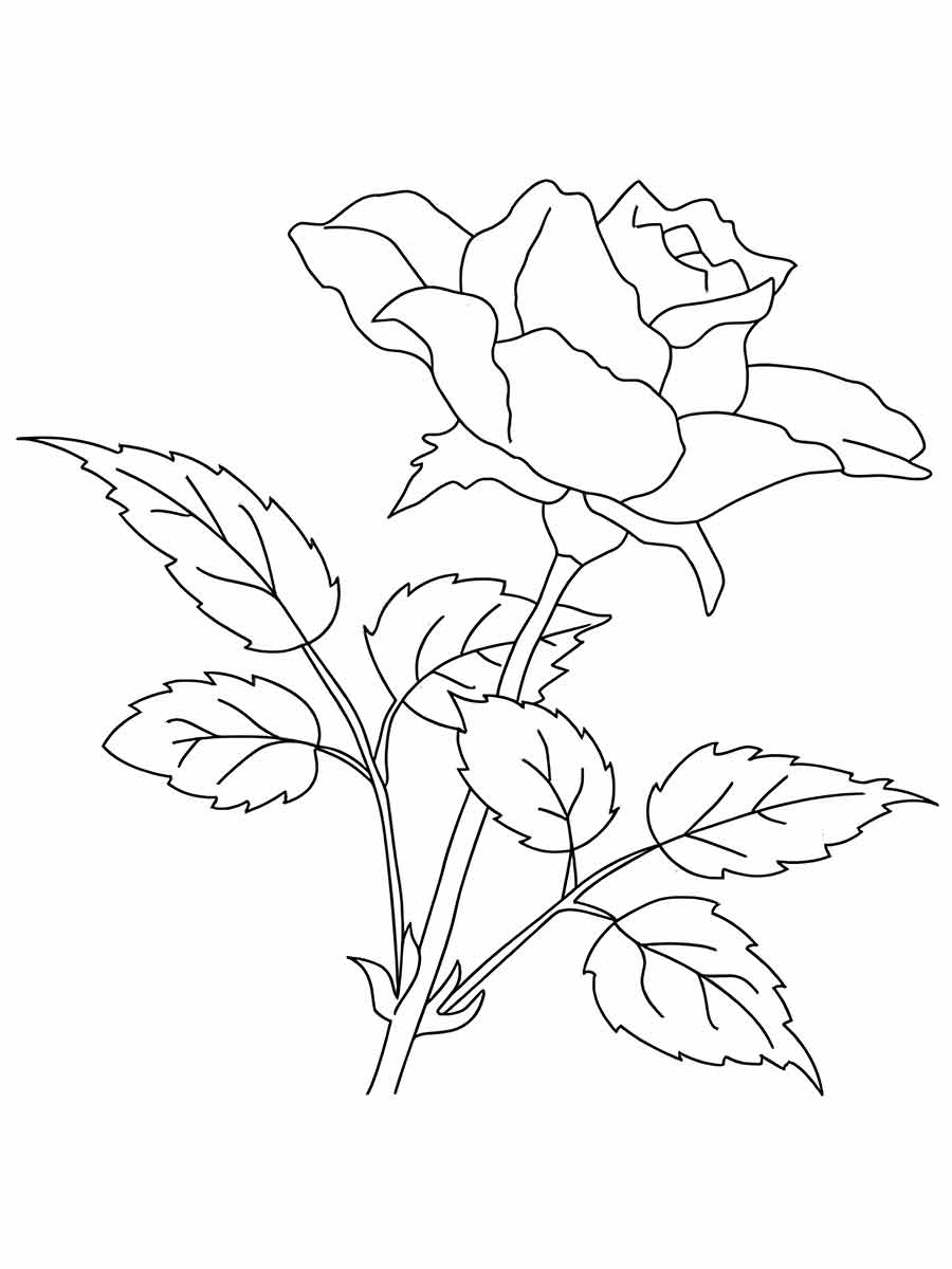 Flowers for kids coloring coloring page (34)