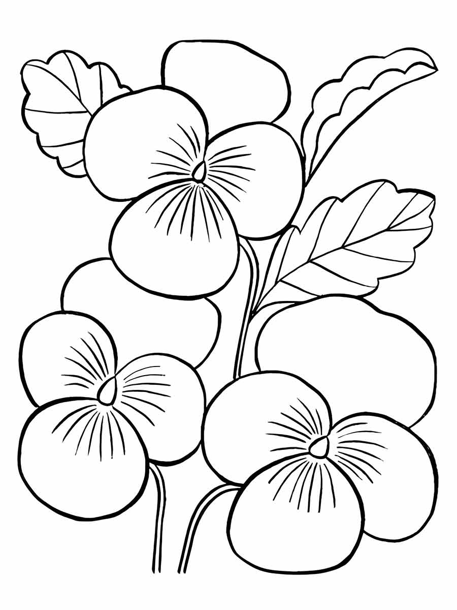 Flowers for kids coloring coloring page (35)