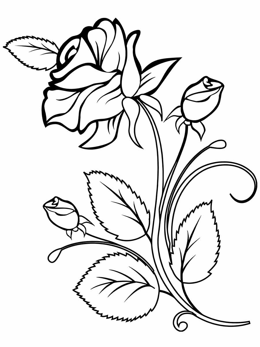 Flowers for kids coloring coloring page (41)