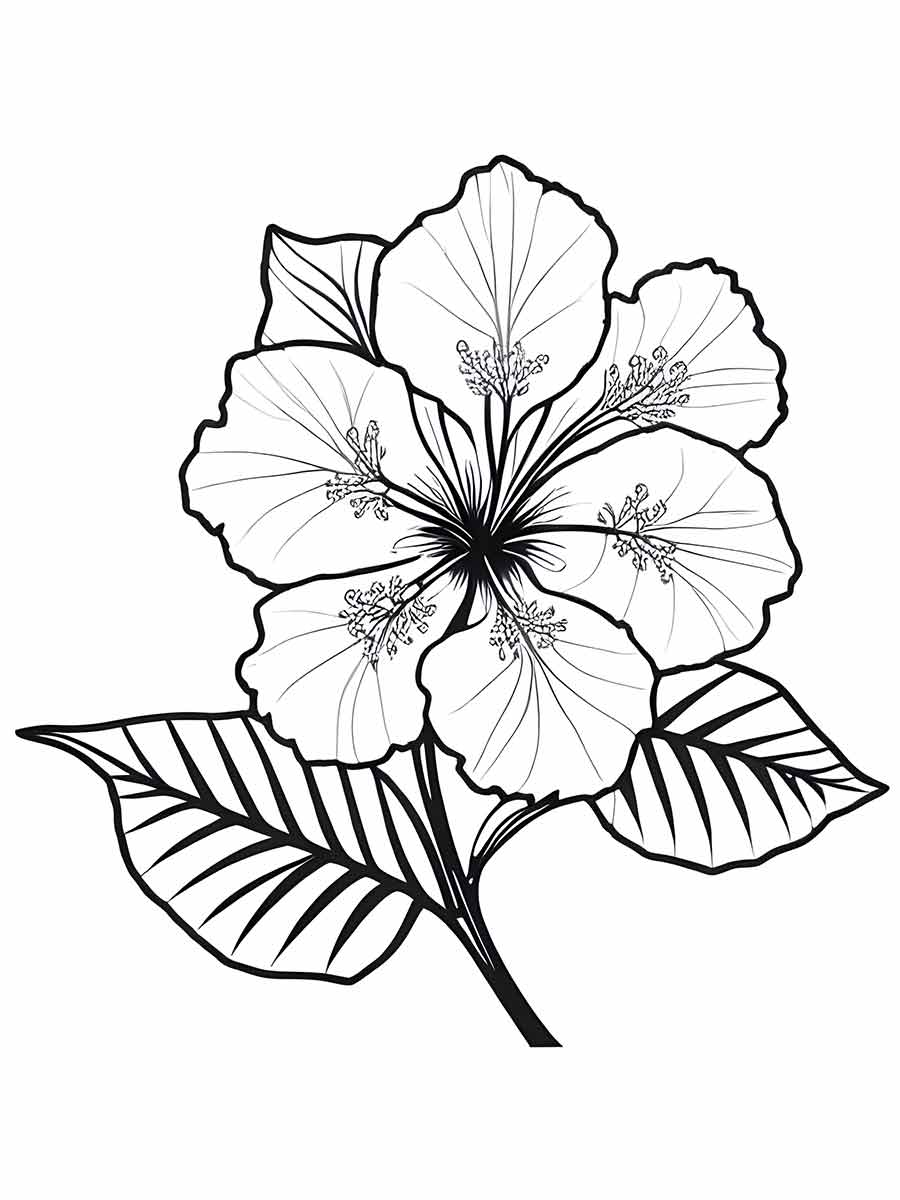 Flowers for kids coloring coloring page (50)