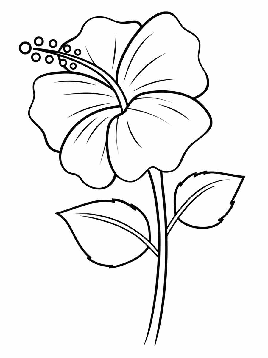 Flowers for kids coloring coloring page (55)