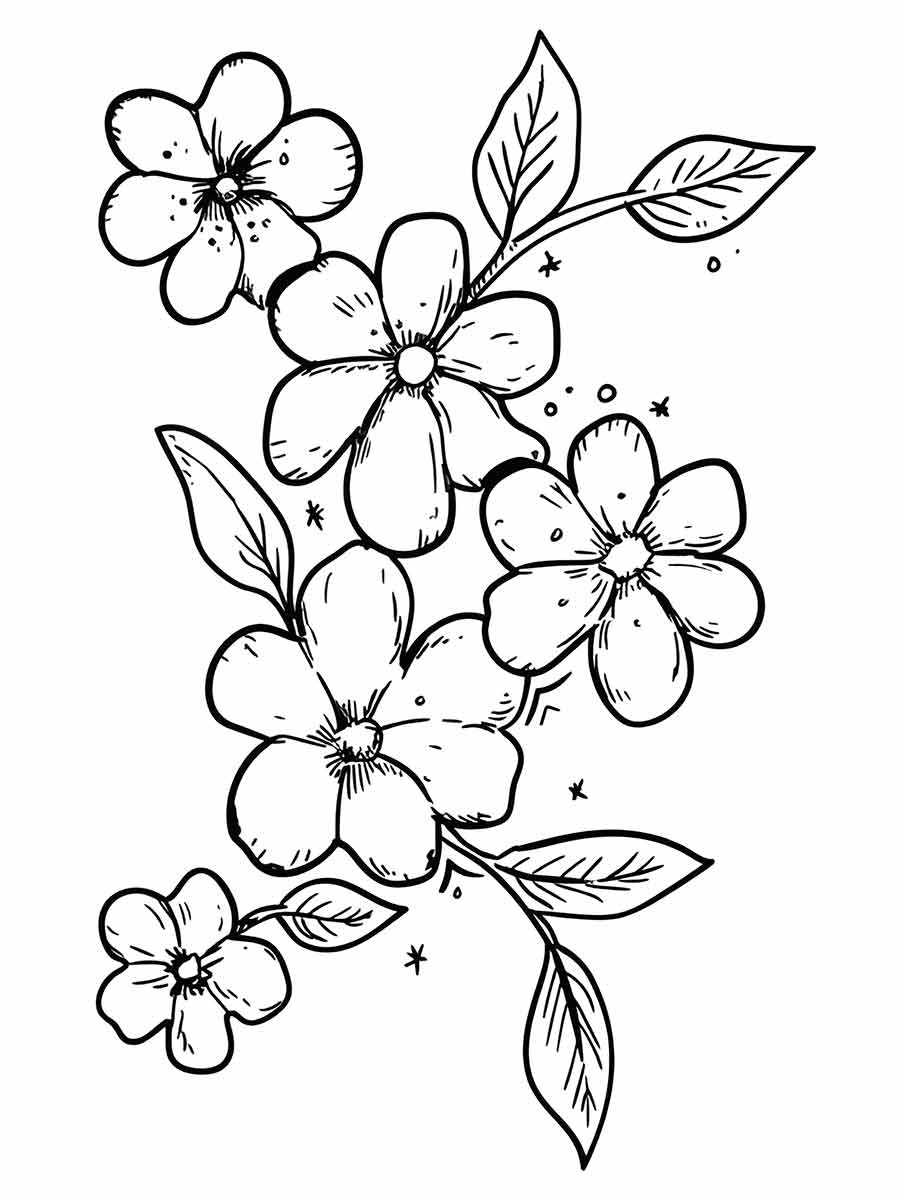 Flowers for kids coloring coloring page (57)