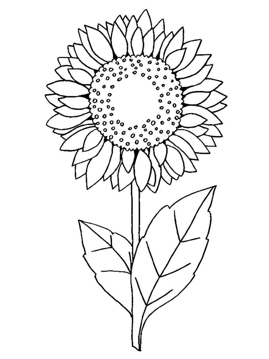 Flowers for kids coloring coloring page (60)