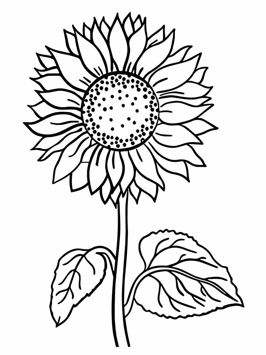 Flowers for kids coloring coloring page (61)