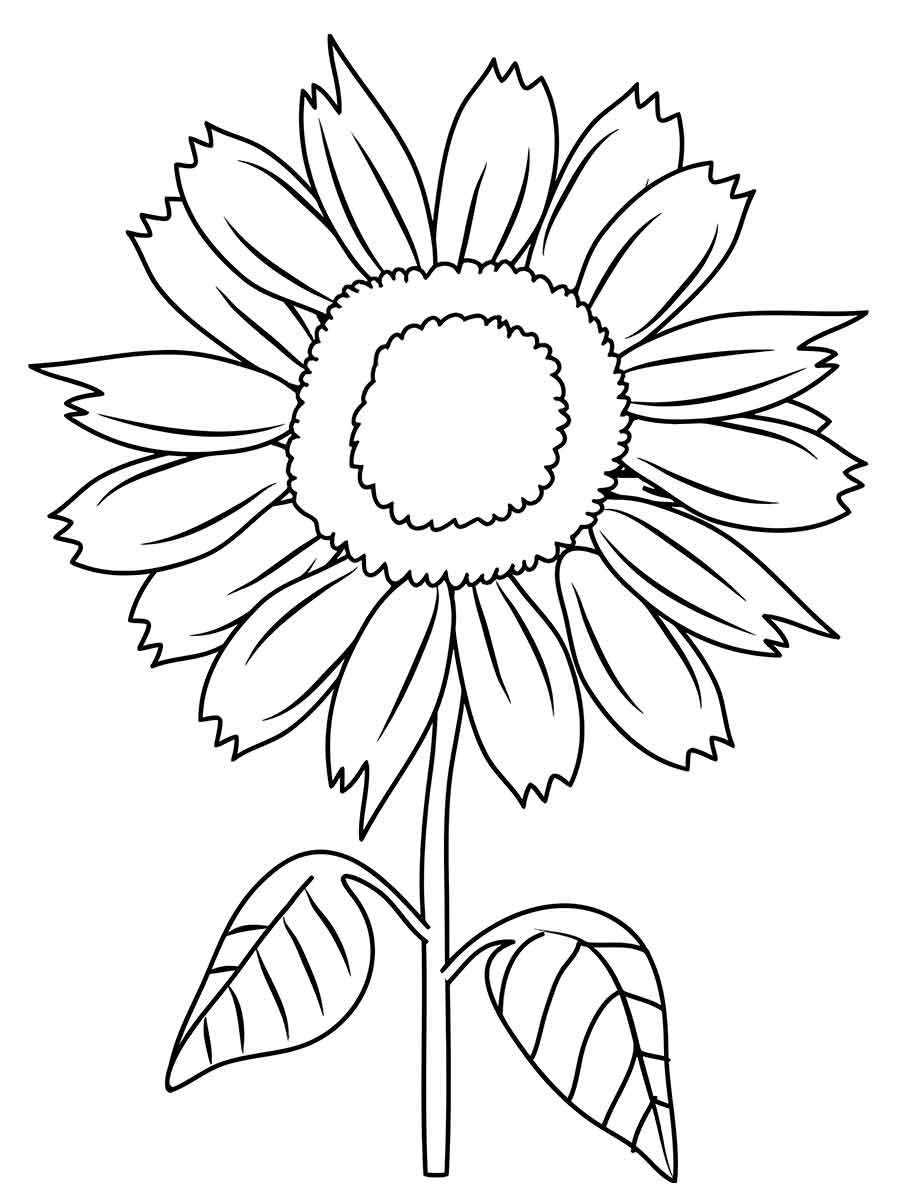 Flowers for kids coloring coloring page (62)