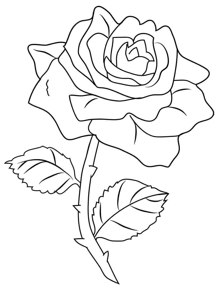 Flowers for kids coloring coloring page (65)