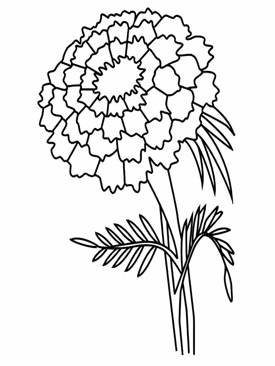 Flowers for kids coloring coloring page (69)