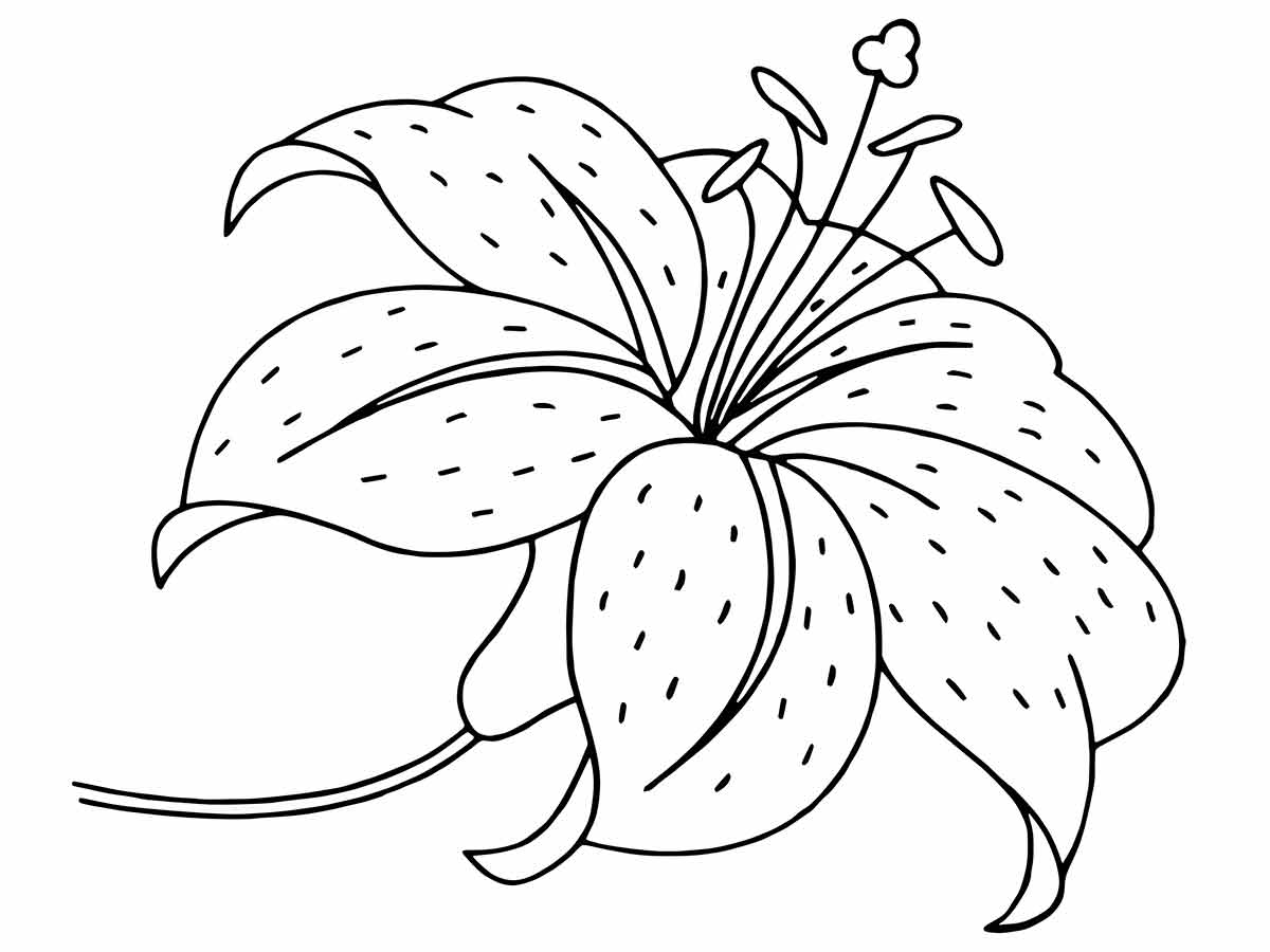 Flowers for kids coloring coloring page (7)