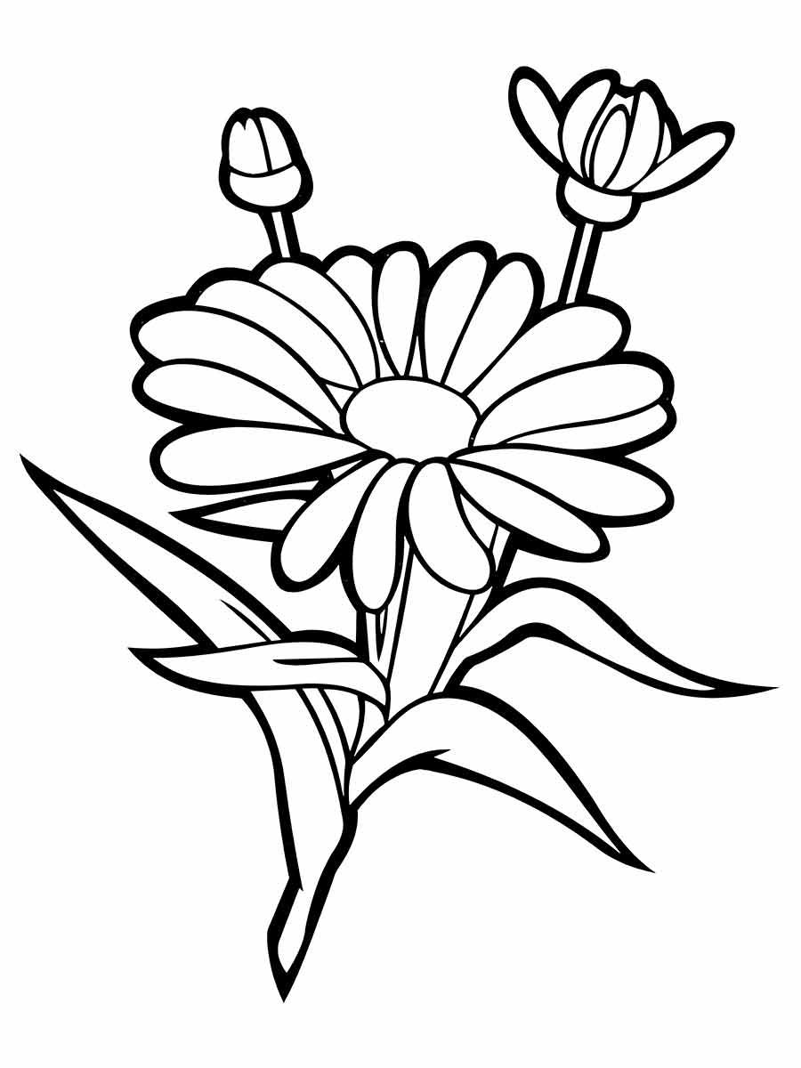 Flowers for kids coloring coloring page (74)