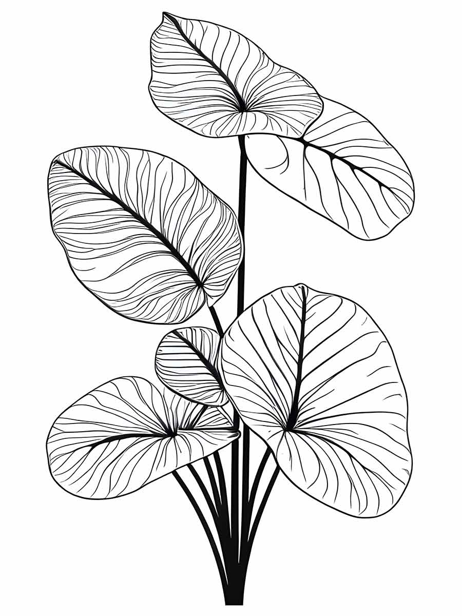 Flowers for kids coloring coloring page (78)