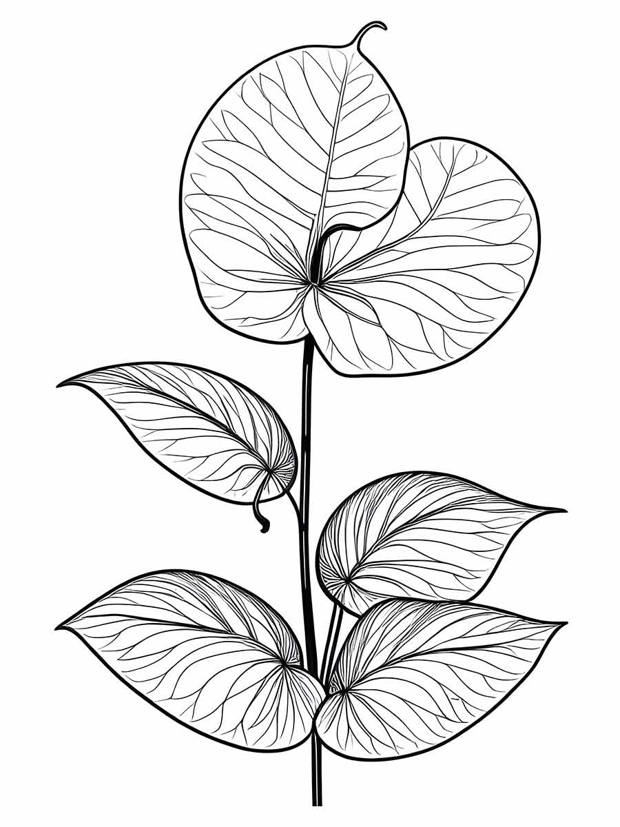 Flowers for kids coloring coloring page (79)