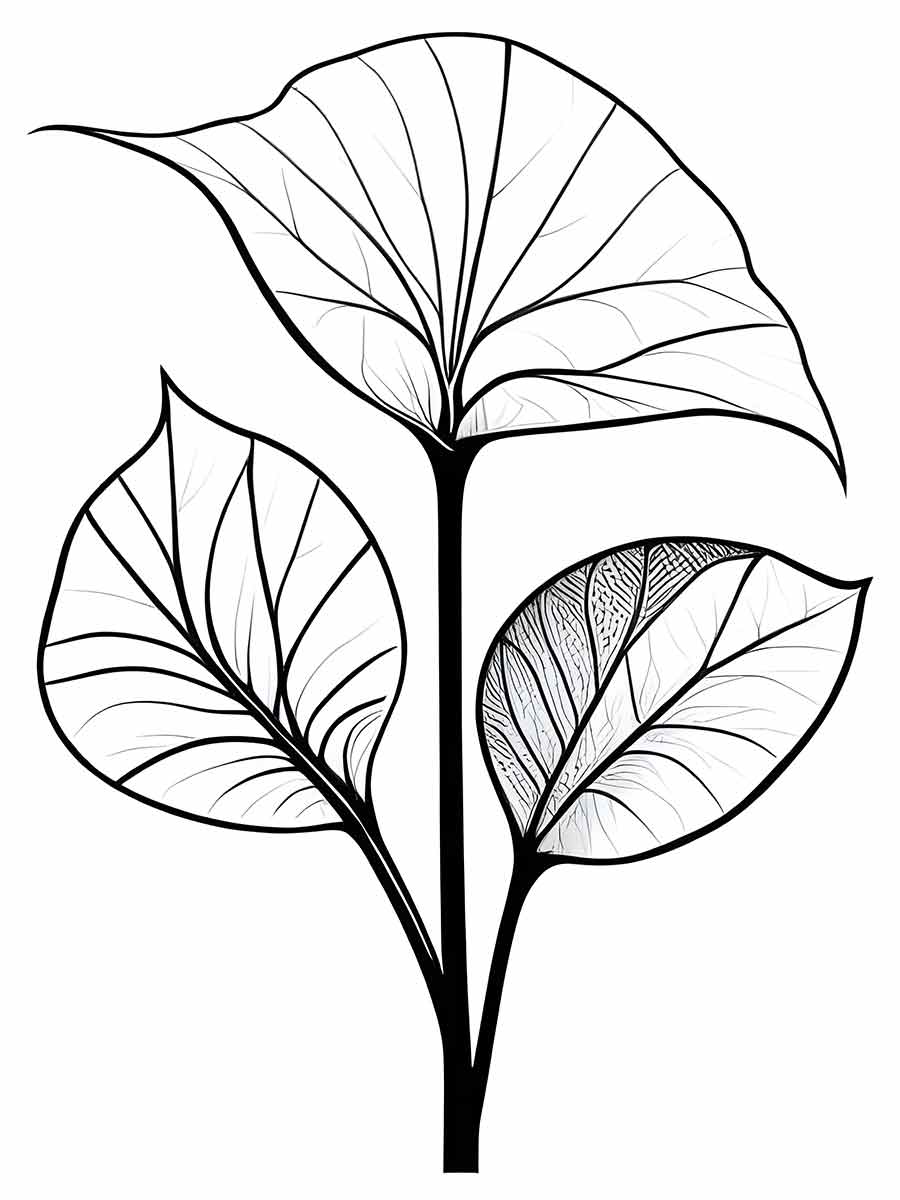 Flowers for kids coloring coloring page (80)