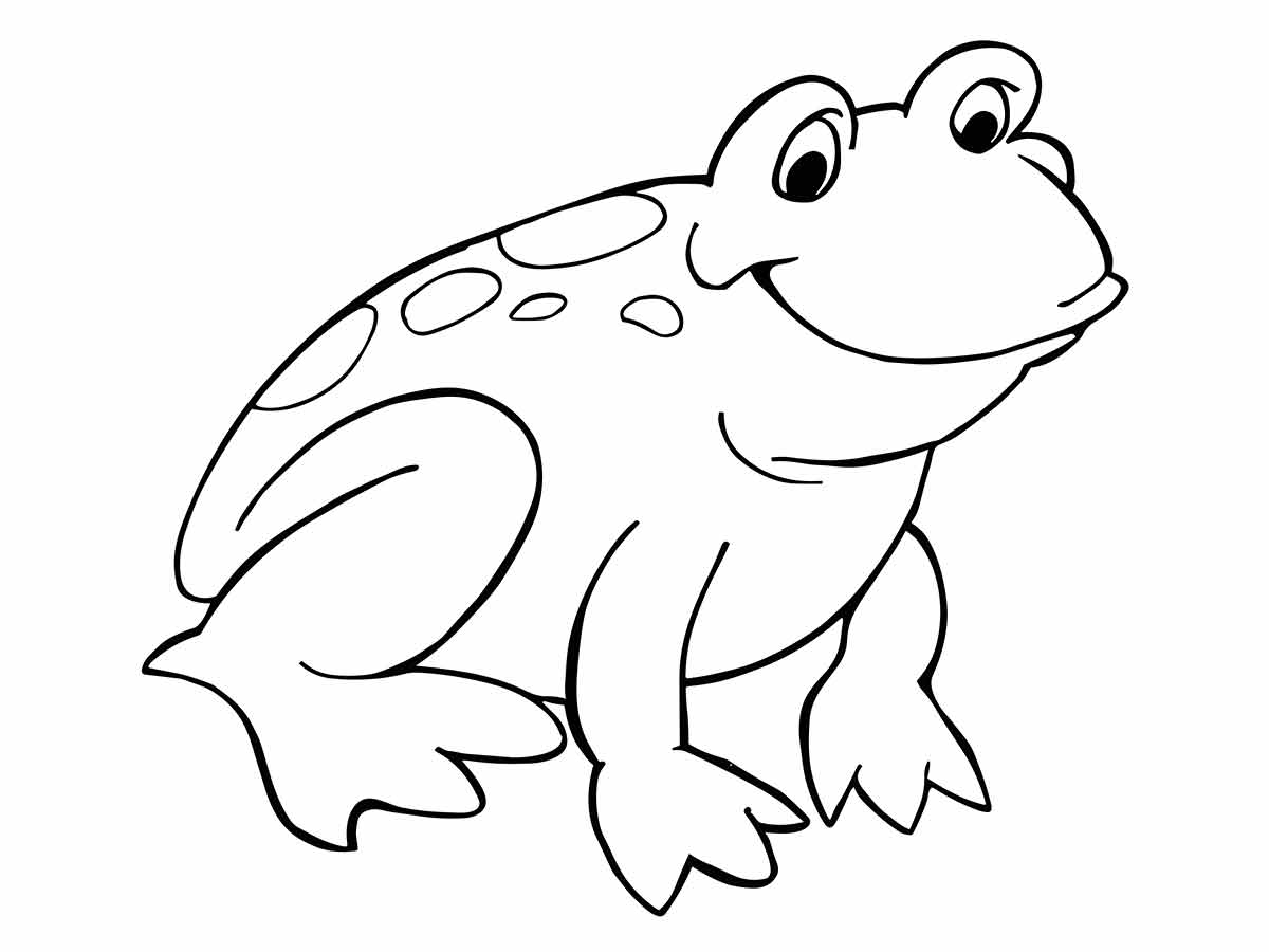 Frog coloring pages (20)