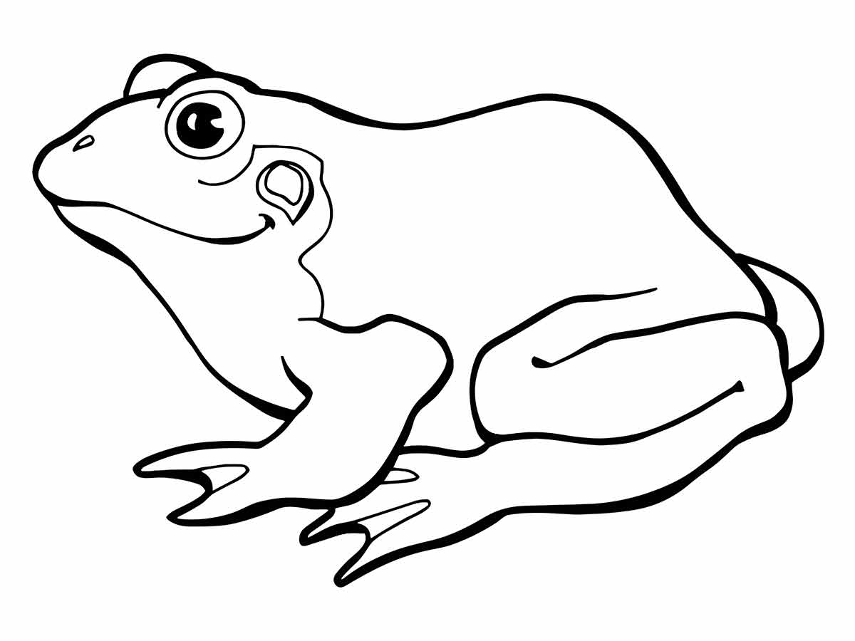 Frog coloring pages (21)