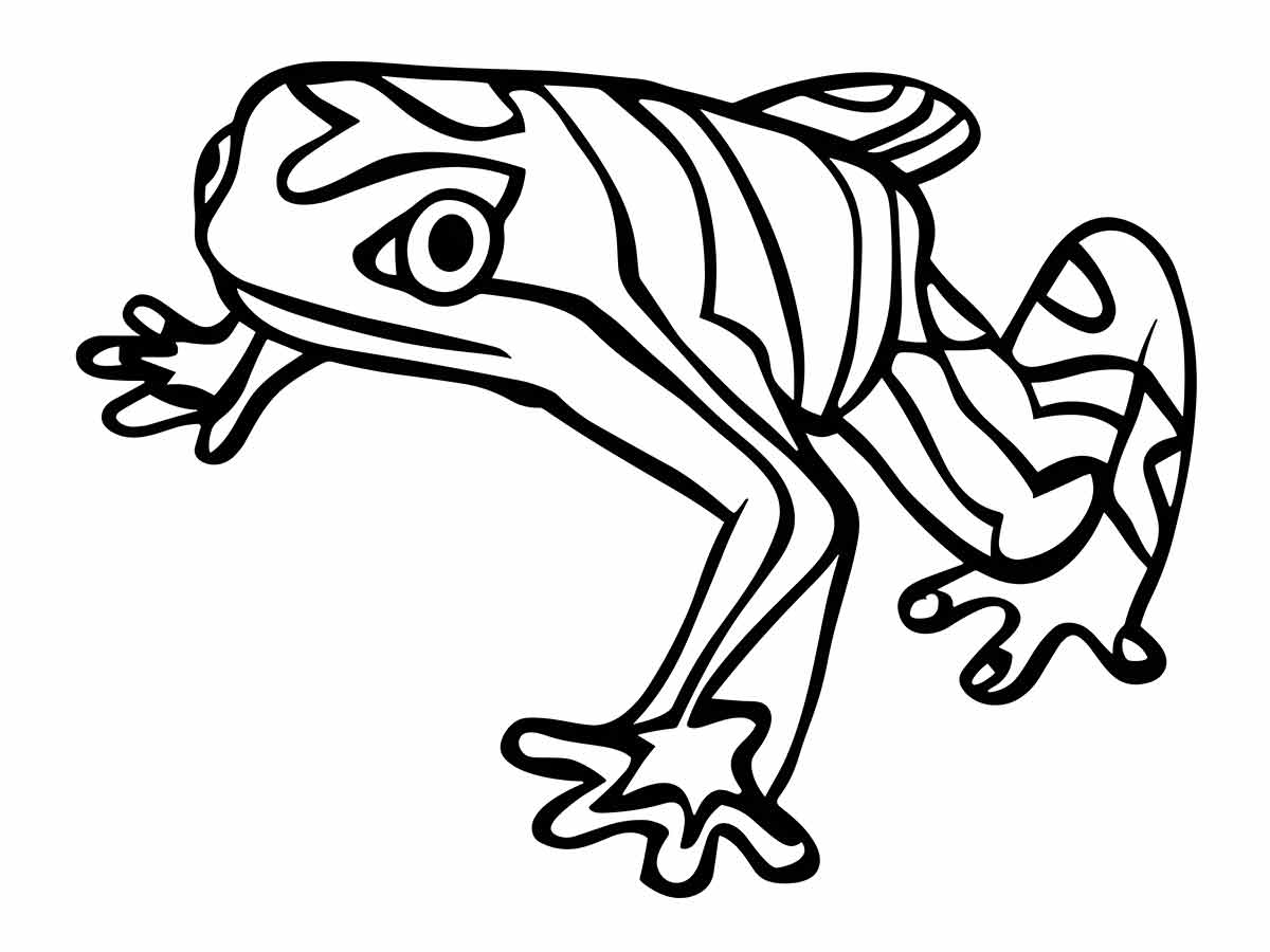 Frog coloring pages (23)