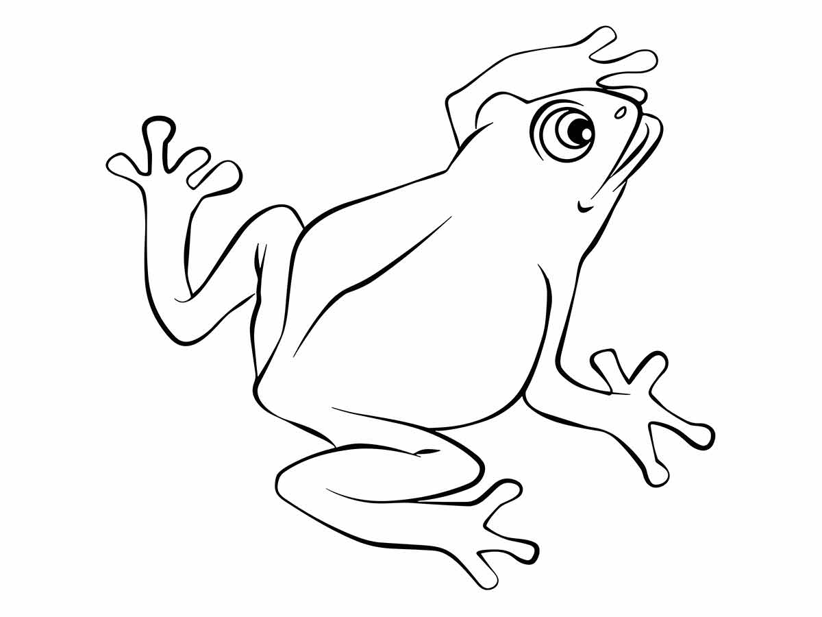 Frog coloring pages (25)