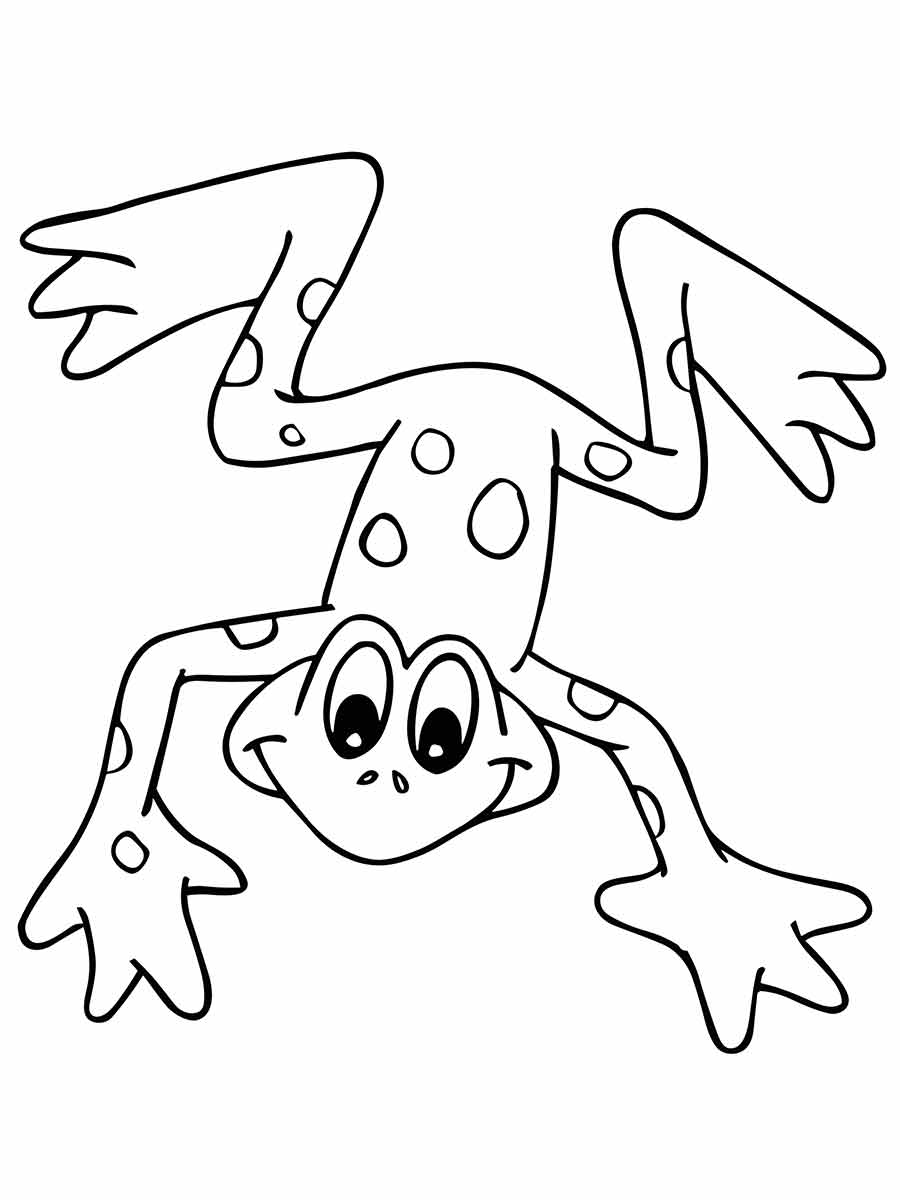 Frog coloring pages (28)