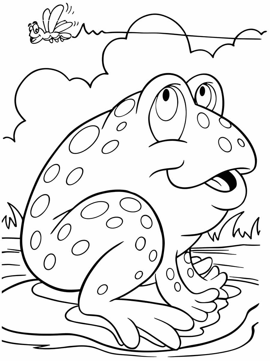 Frog coloring pages (39)