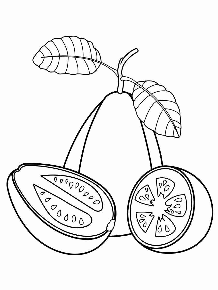 Fruits coloring page (101)