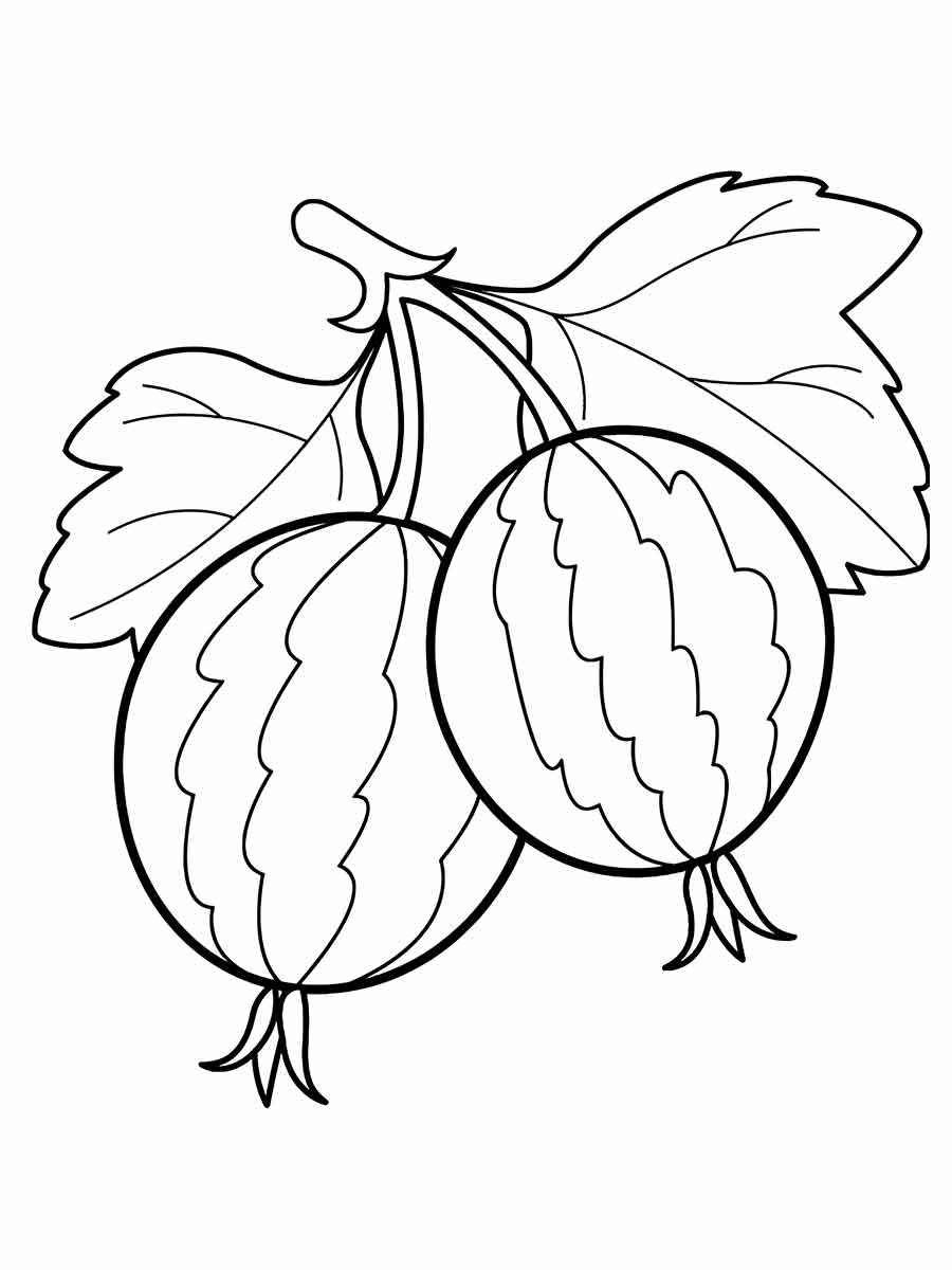 Fruits coloring page (102)