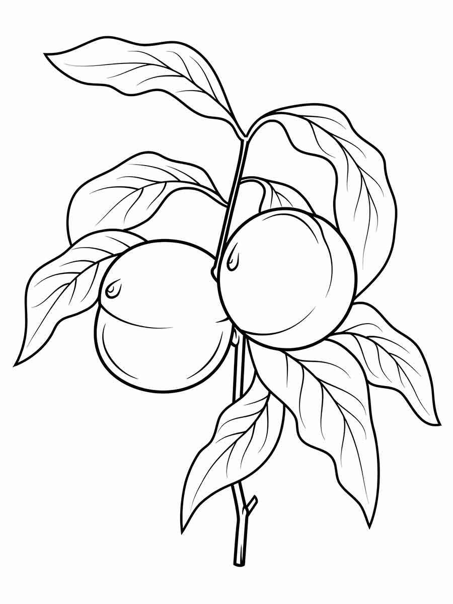 Fruits coloring page (107)