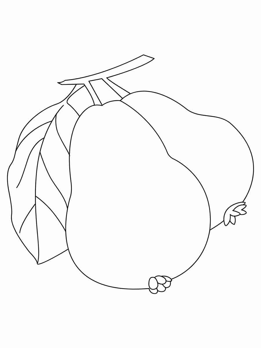 Fruits coloring page (108)