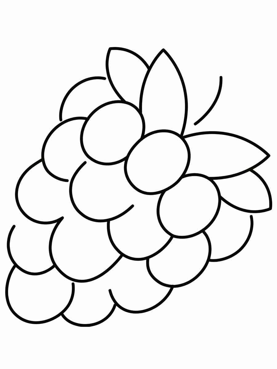 Fruits coloring page (112)